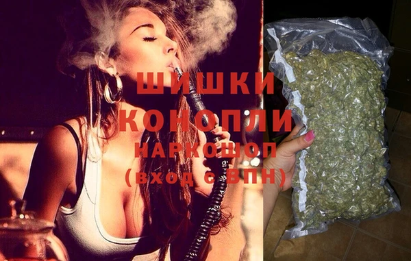 сатива Богданович