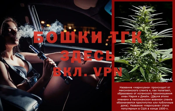 сатива Богданович