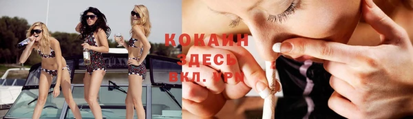 сатива Богданович