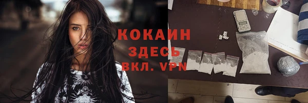 таблы Богородицк