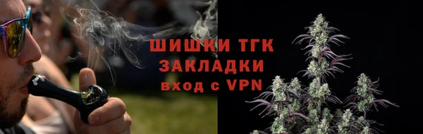 сатива Богданович