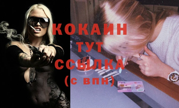 сатива Богданович