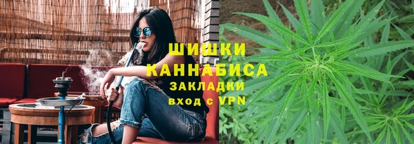 таблы Богородицк