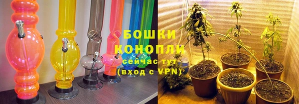 стаф Богородск