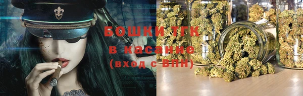 сатива Богданович