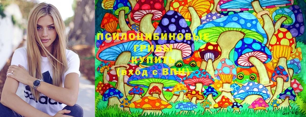 таблы Богородицк