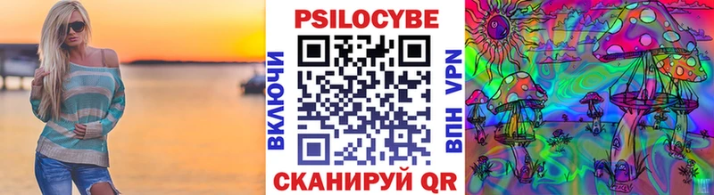 Псилоцибиновые грибы Psilocybine cubensis Кириши
